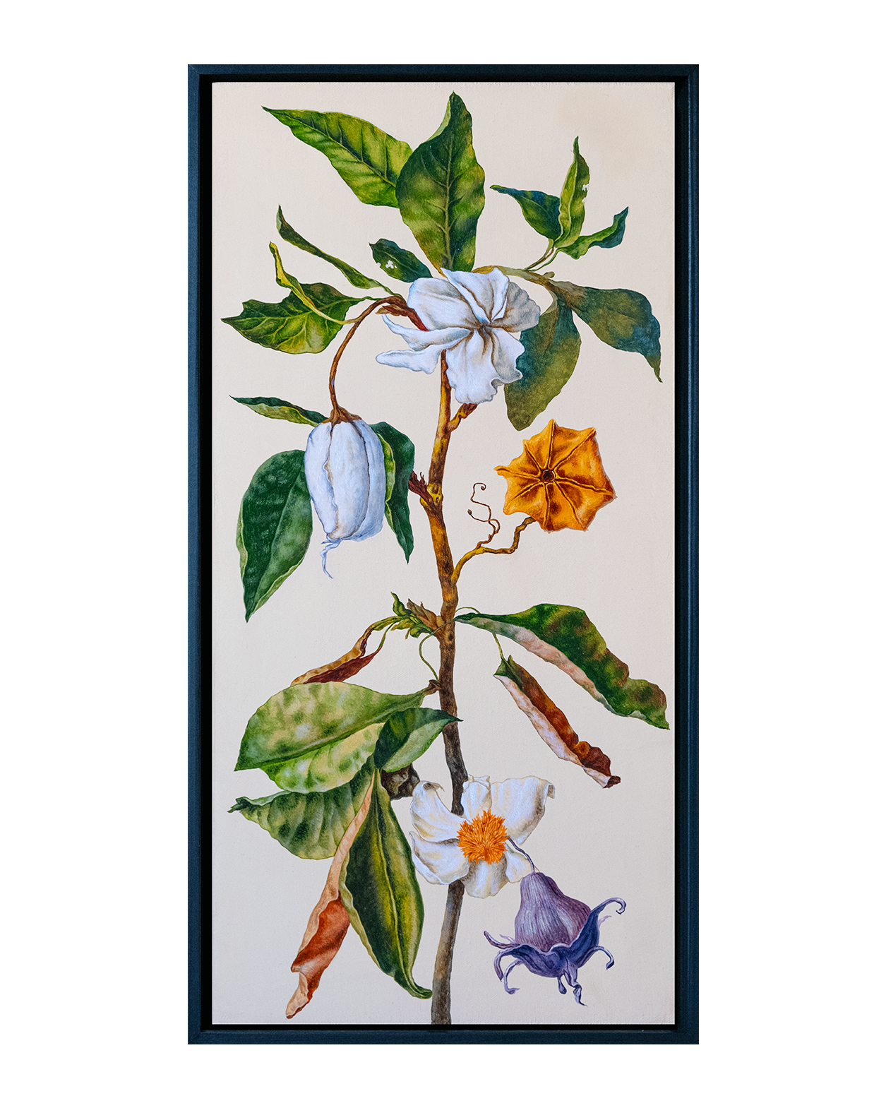 Botanical Etude No. 8. ELEN BEZHEN