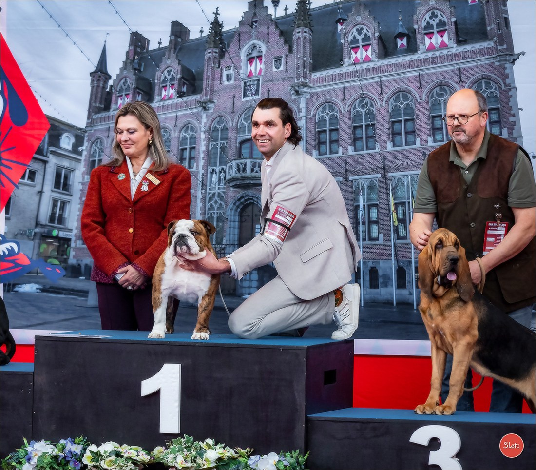 À l'exposition de Mouscron 🇧🇪 #dogshow #dogsphotography #expocanine #photopets #pets #dogs #aminalier #animals #mouscron #mouscron2025. Photographe à Strasbourg | Portraits, Studio, Enfants, Événements