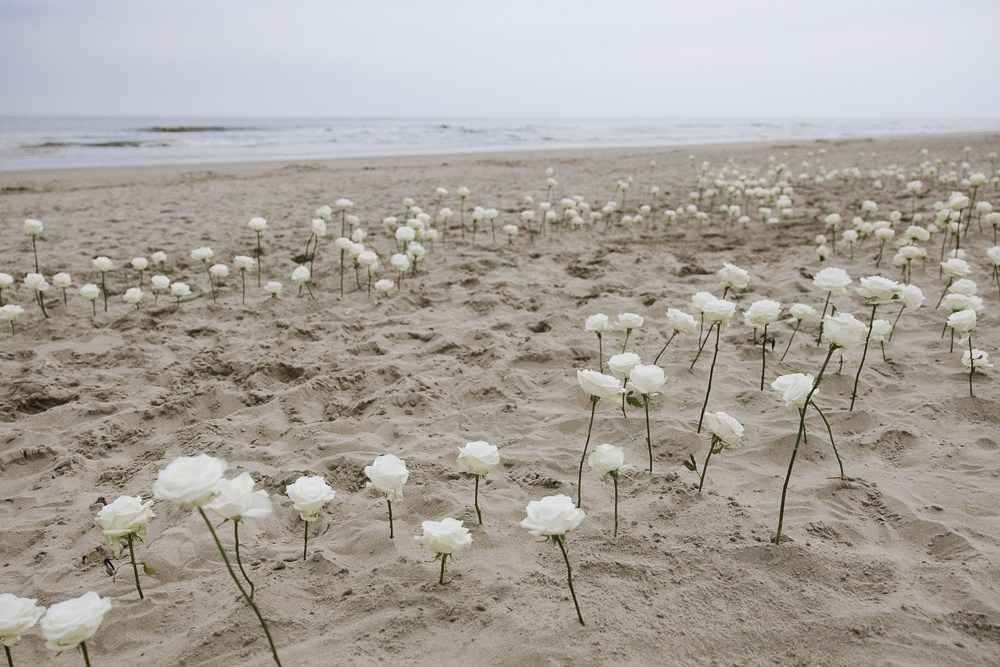 Anastasia & Alex (Freie Trauung am Meer in Holland - nur zu zweit). Hochzeitfotografin Düsseldorf, NRW Nadja Holzmann