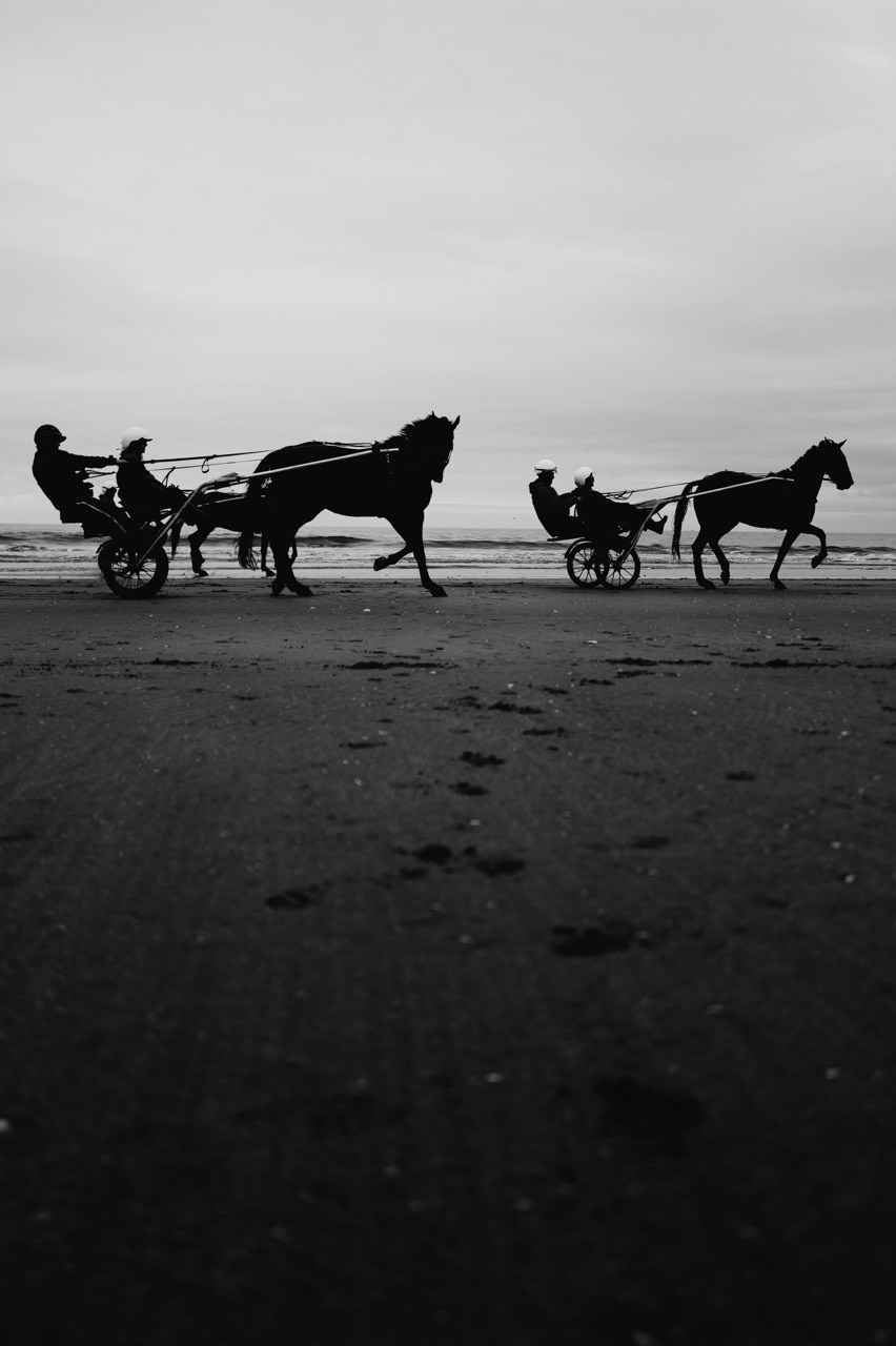 Photos. Artem Avanesov. Visual Content Creator