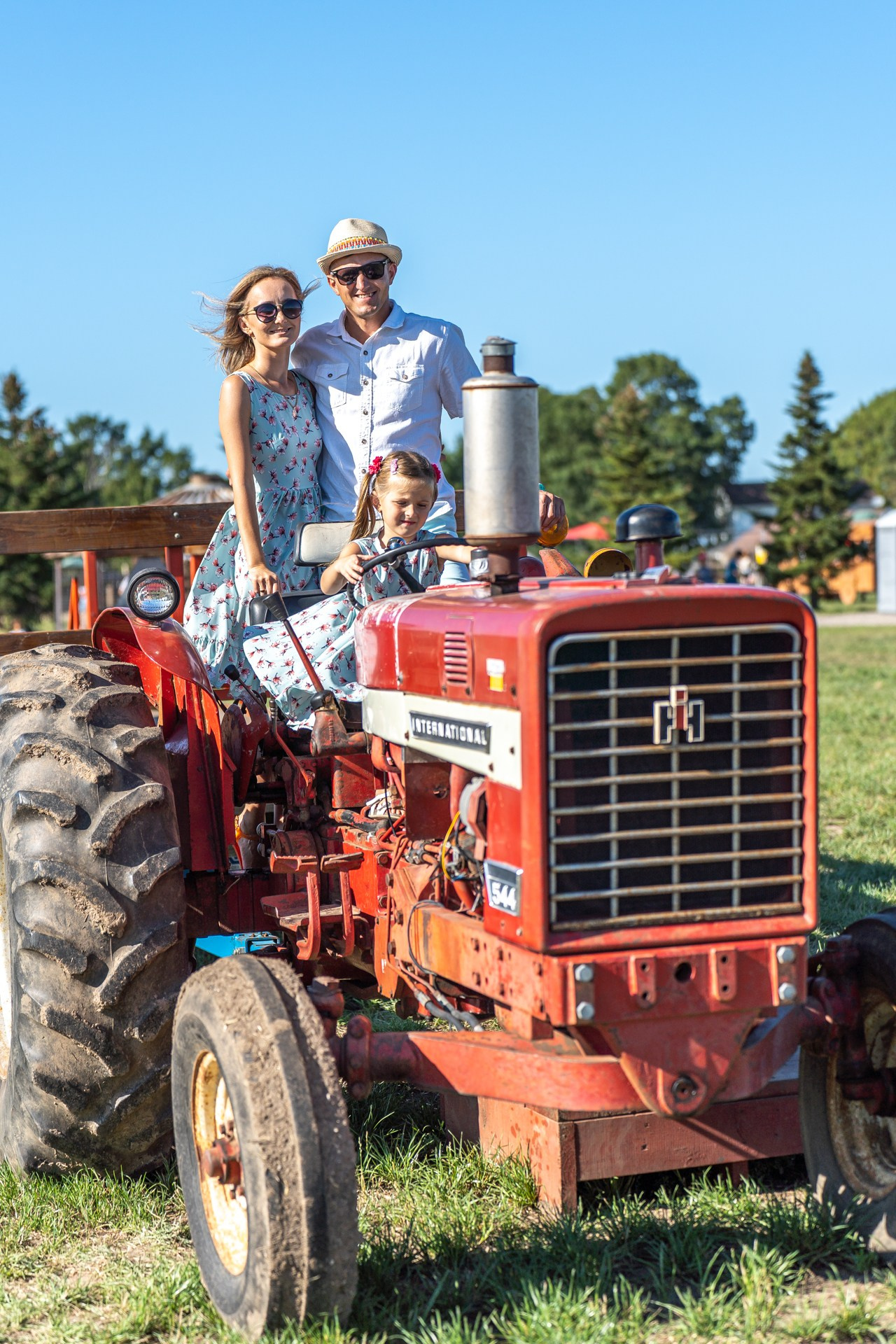 Sunflowers. ARTIGO Igor Rudyi Art Photography