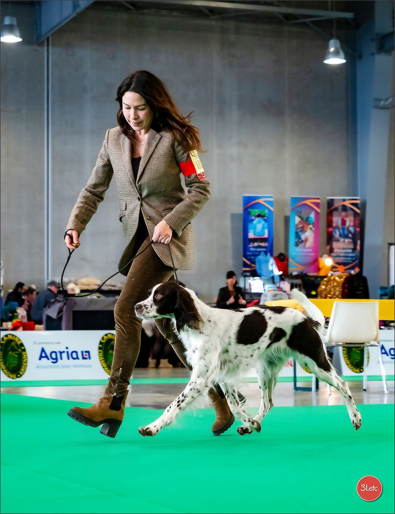 🇫🇷  Chalons en Champagne  🇫🇷  Expo canine  31/01-01/02/2026. Photographe à Strasbourg | Portraits, Studio, Enfants, Événements