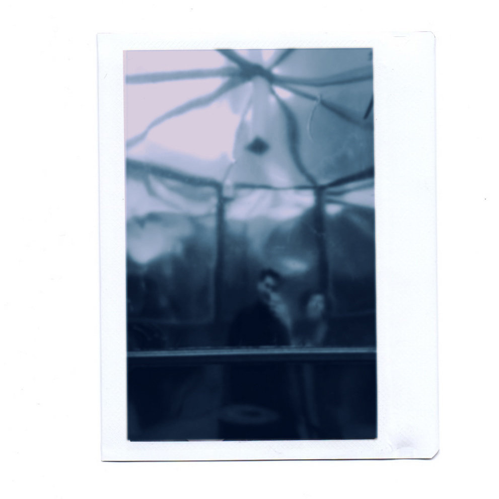 Found. Artist, photographer, graphic designer, dreamer