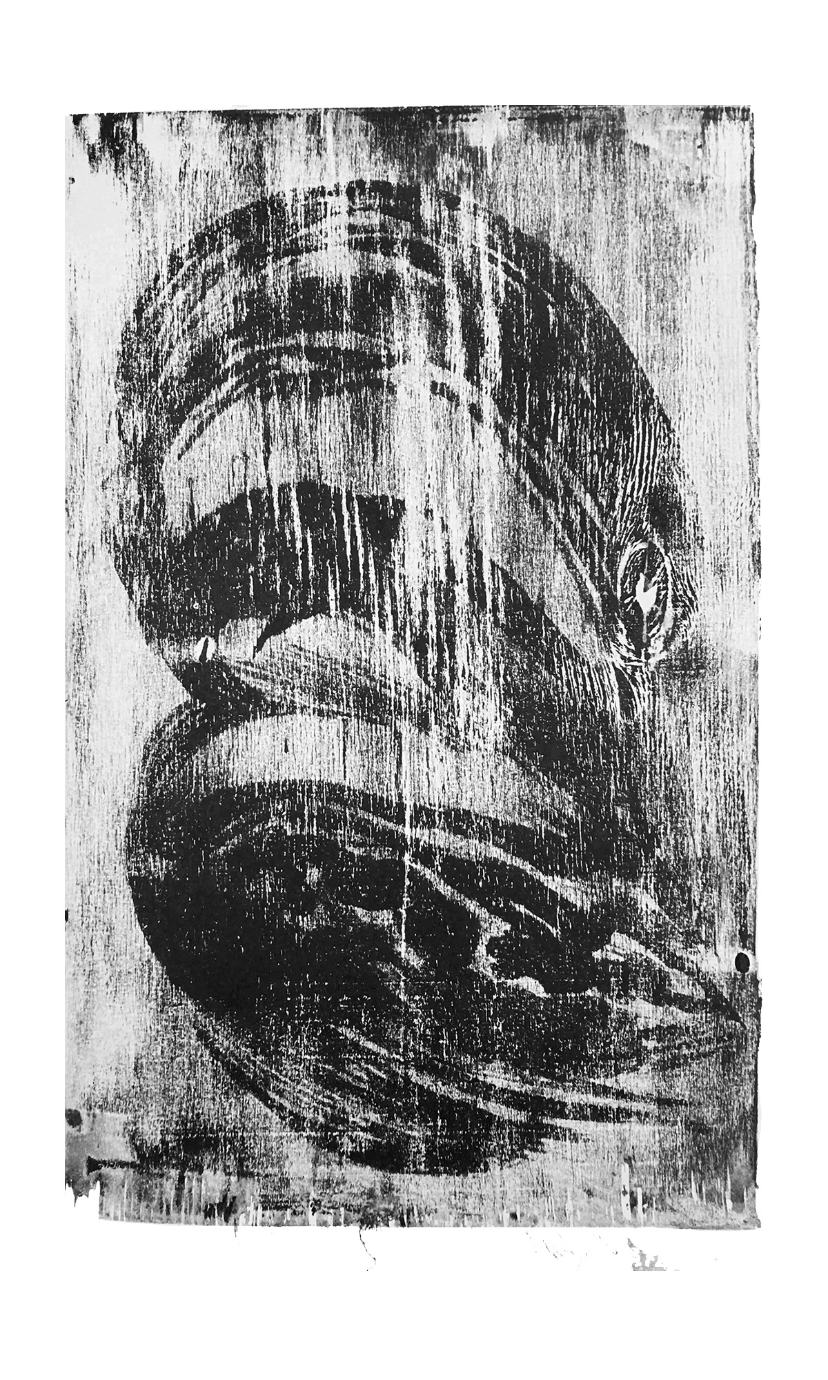 Moculito, 23 х 39 см, 1/1, 2017 