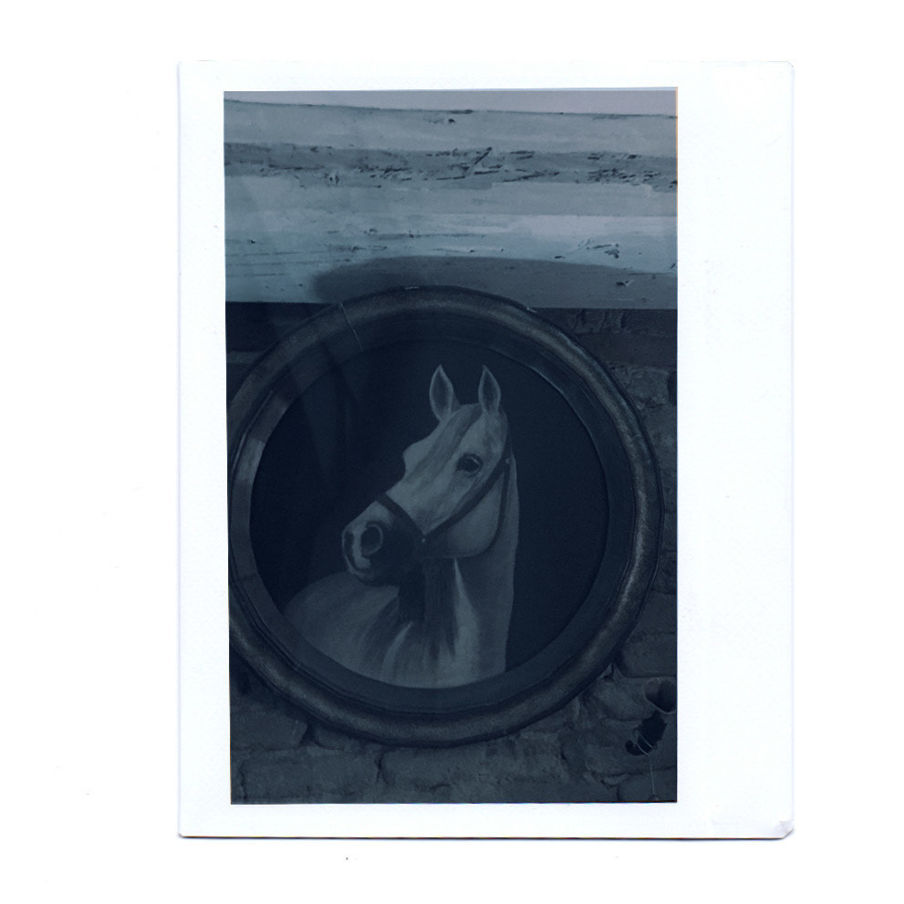 Found. Artist, photographer, graphic designer, dreamer