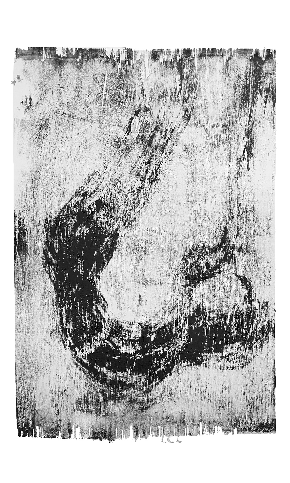 Moculito, 23 х 39 см, 1/1, 2017 