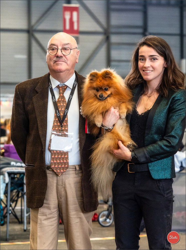 🇨🇭 Geneva Dog Show 15-17/11/2024. Photographe à Strasbourg | Portraits, Studio, Enfants, Événements