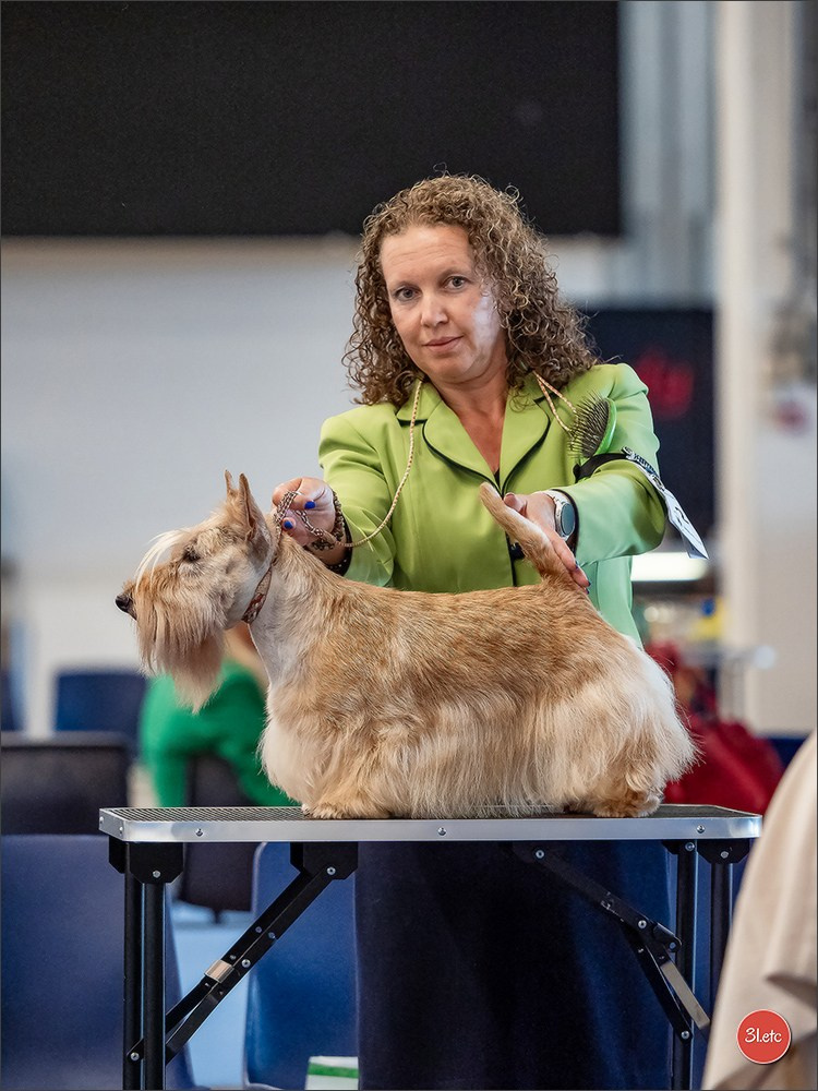 🇫🇮 WDS Helsinki 2025 🇫🇮. Photographe à Strasbourg | Portraits, Studio, Enfants, Événements