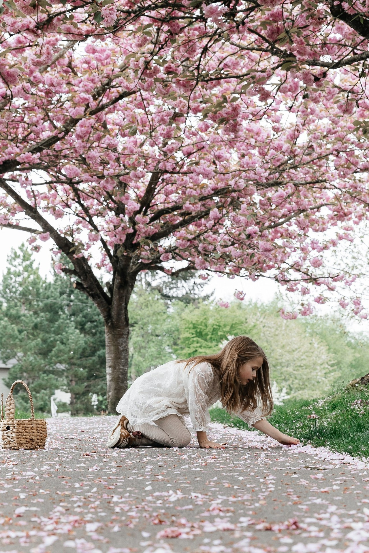 Отзывы. Documentary and Family Photographer in Seattle