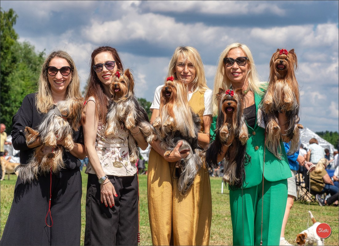 Dog Show Hallbergmoos  🇩🇪  11-13/07/2025. Photographe à Strasbourg | Portraits, Studio, Enfants, Événements