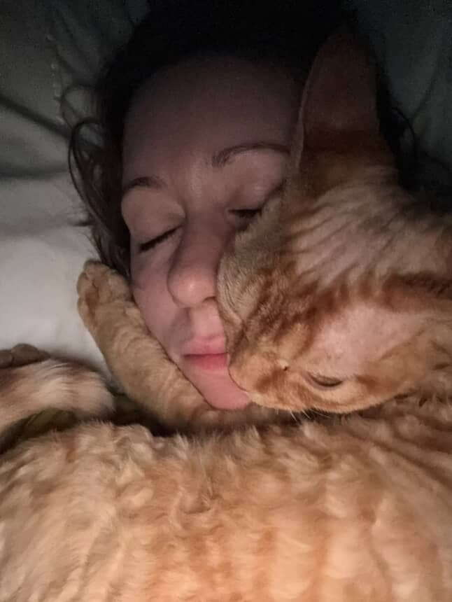 Dorito, boy, born on 06.06.24 SOLD. Devon Rex Pixie Cattery