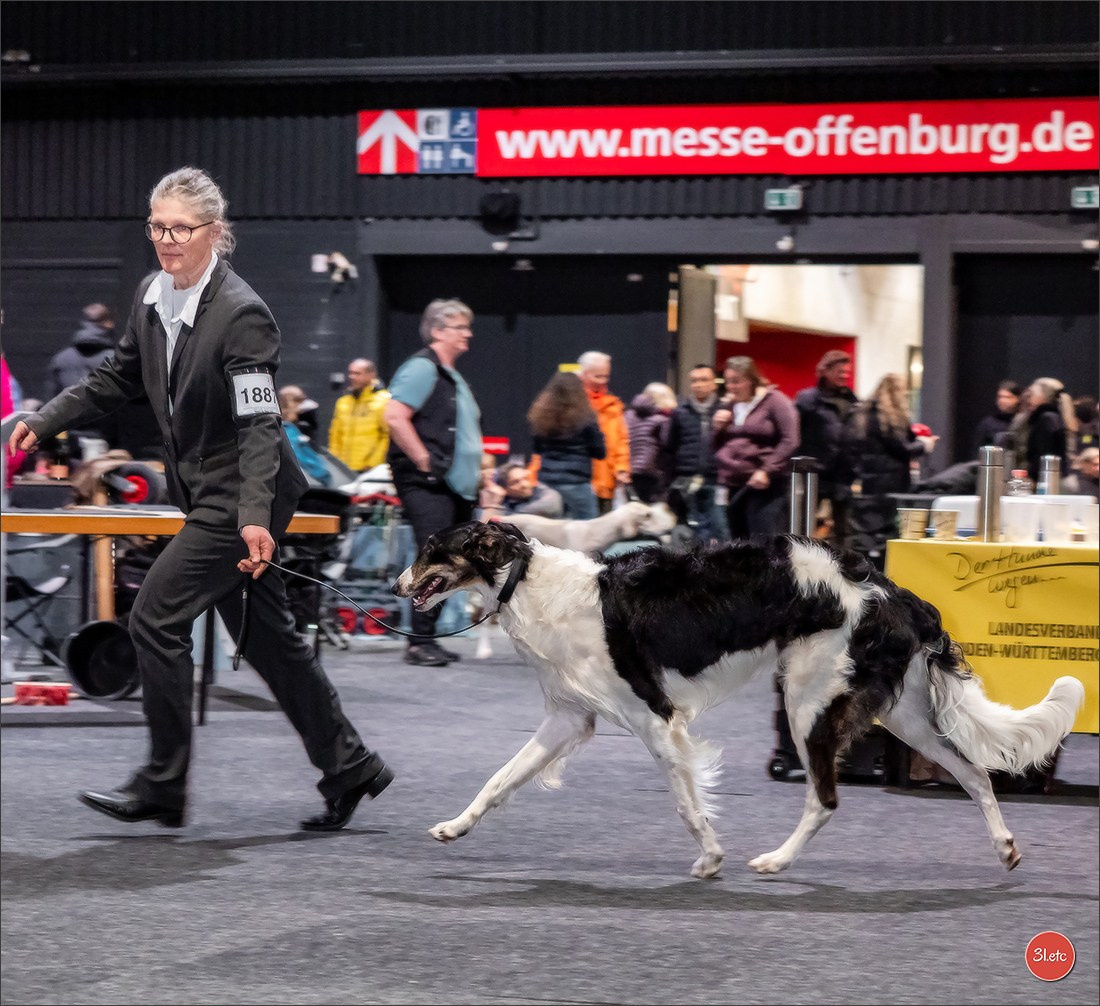 🇩🇪 Offenburg International Dogshow 15-16.03.25 🇩🇪. Photographe à Strasbourg | Portraits, Studio, Enfants, Événements
