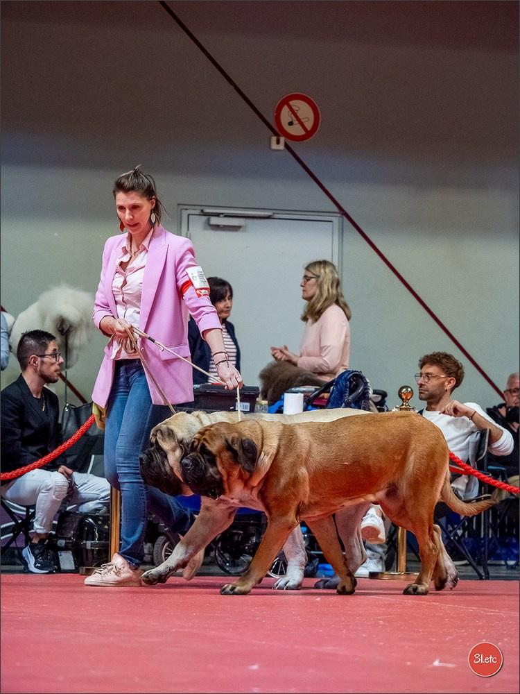 Expo canine 🇫🇷 Martigues  19-20/04/2025. Photographe à Strasbourg | Portraits, Studio, Enfants, Événements