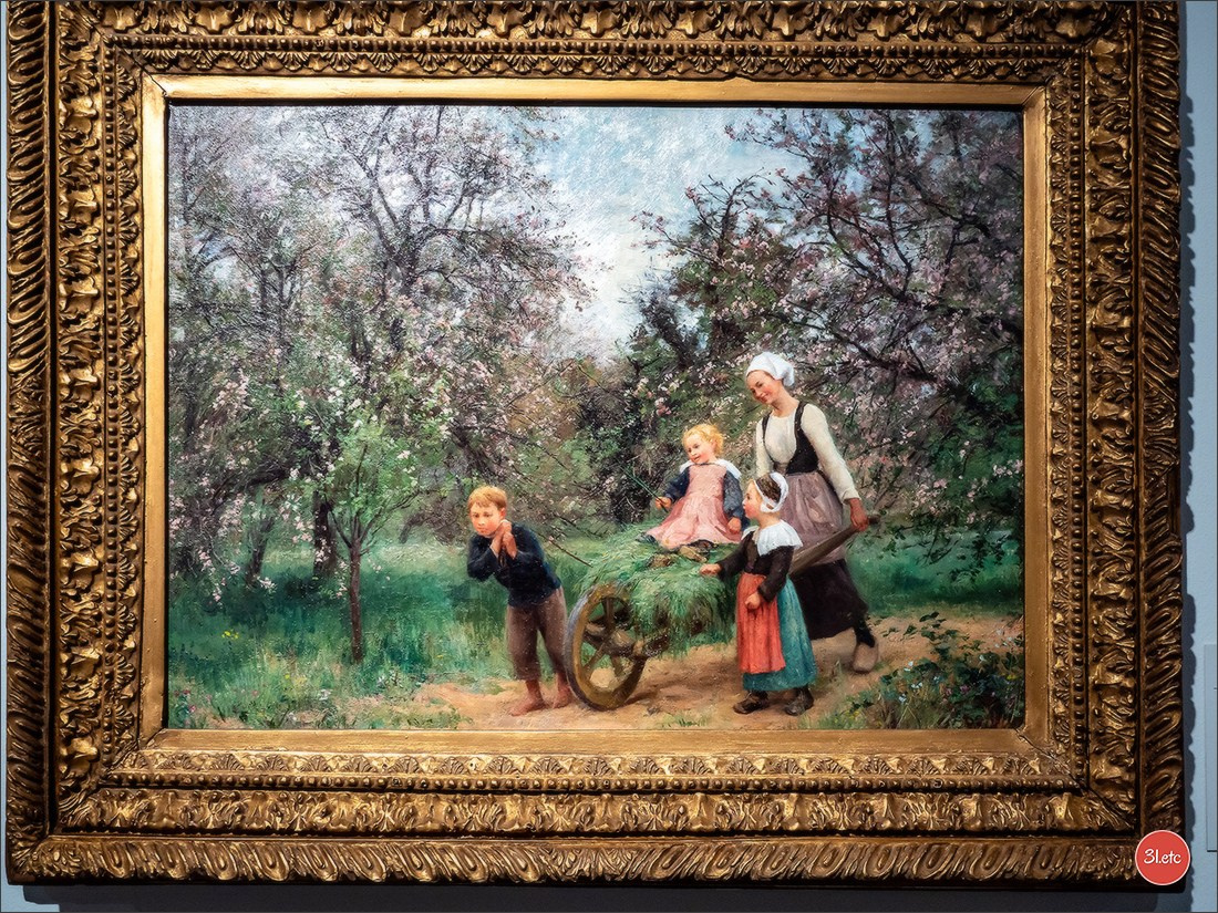 Poitiers 🇫🇷. Photographe à Strasbourg | Portraits, Studio, Enfants, Événements