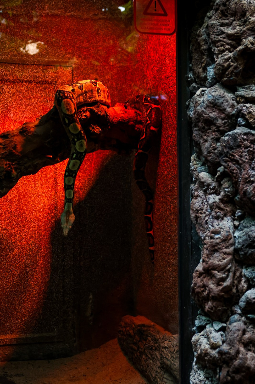 Gran Canaria 2024. Марина фотограф из Нюрнберга