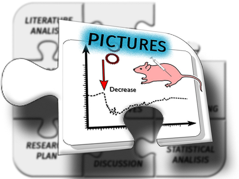 Graphic Design. Kinosura Creative Studio in Helsinki and Kuopio