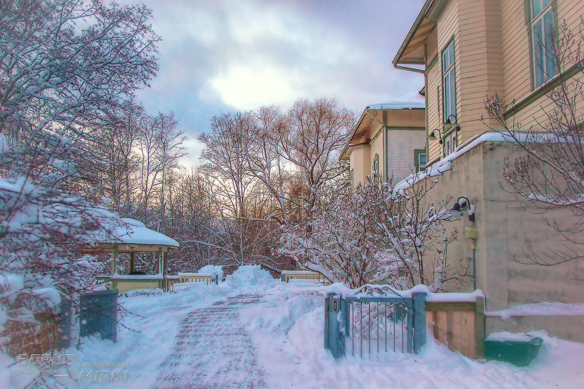 Nature and City. Kinosura Creative Studio in Helsinki and Kuopio
