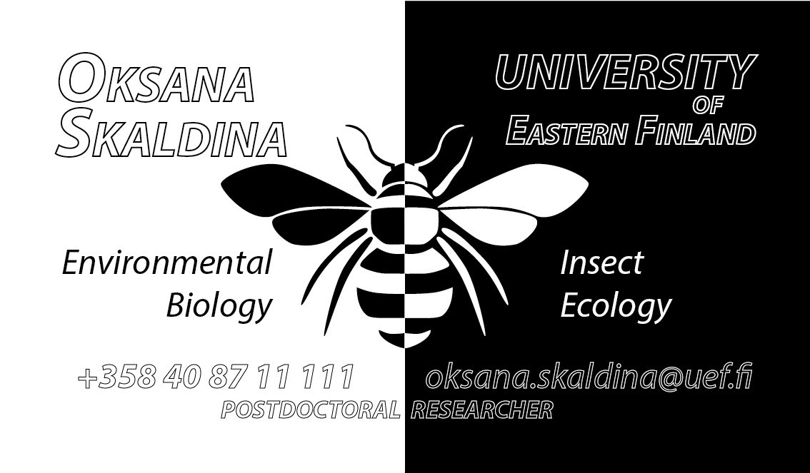 Graphic Design. Kinosura Creative Studio in Helsinki and Kuopio