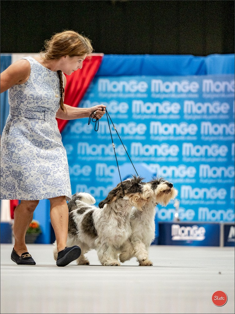 🇱🇺 LUXEMBOURG 🇱🇺 International Dog Show 🇱🇺 30/08 - 31/08/2025. Photographe à Strasbourg | Portraits, Studio, Enfants, Événements
