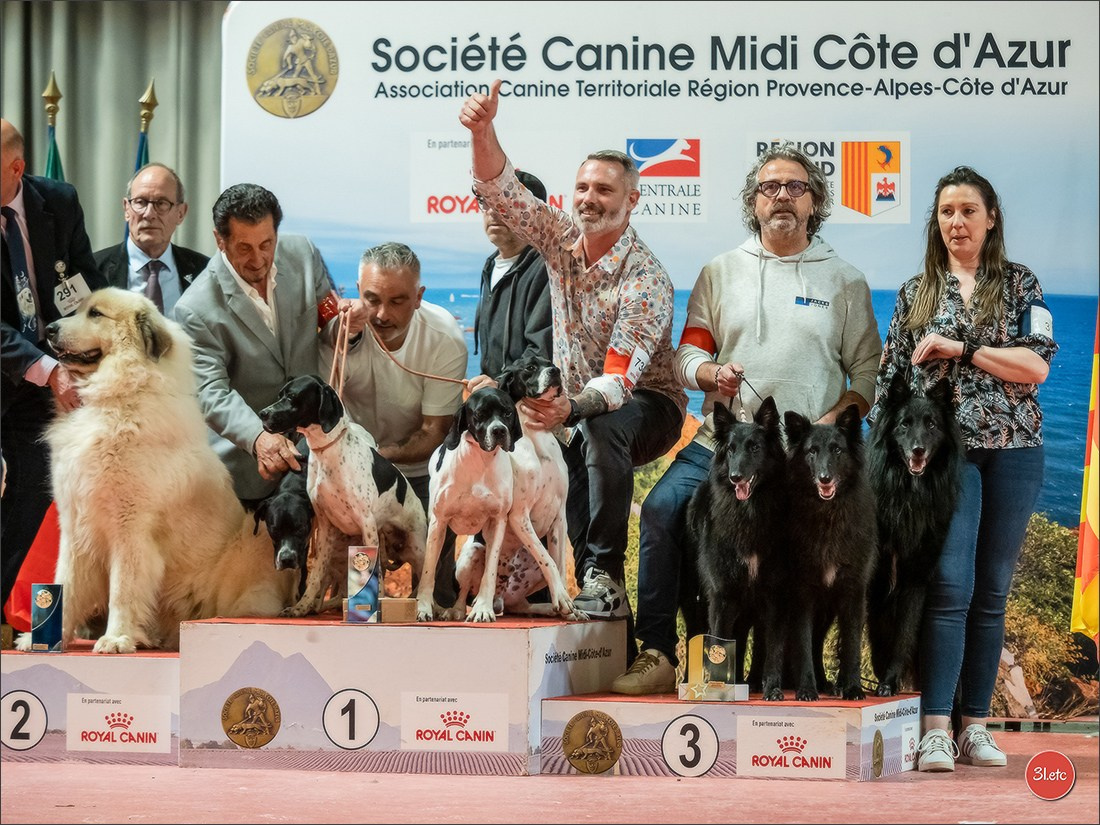 Expo canine 🇫🇷 Martigues  19-20/04/2025. Photographe à Strasbourg | Portraits, Studio, Enfants, Événements