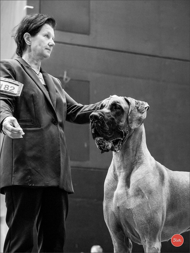 🇨🇭 Geneva 03-05.10.2025 🇨🇭. Photographe à Strasbourg | Portraits, Studio, Enfants, Événements