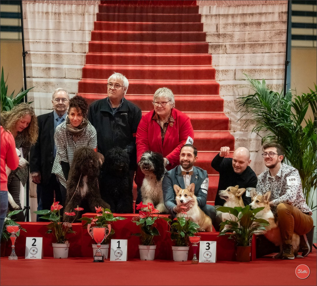Expo canine 🇫🇷 Angers 22-23/03/2025. Photographe à Strasbourg | Portraits, Studio, Enfants, Événements