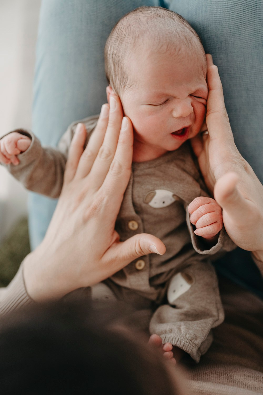 Danijala, Darko, Mijat i Marko porodicno fotografisanje. Deciji i porodicni fotograf u Beogradu Oksana Skendzic