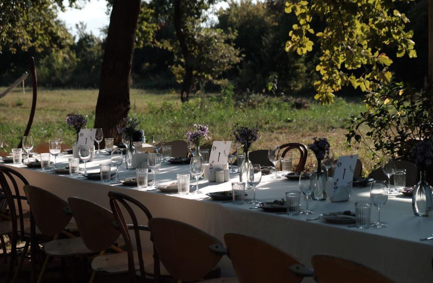 Nekresi Estate. Главная