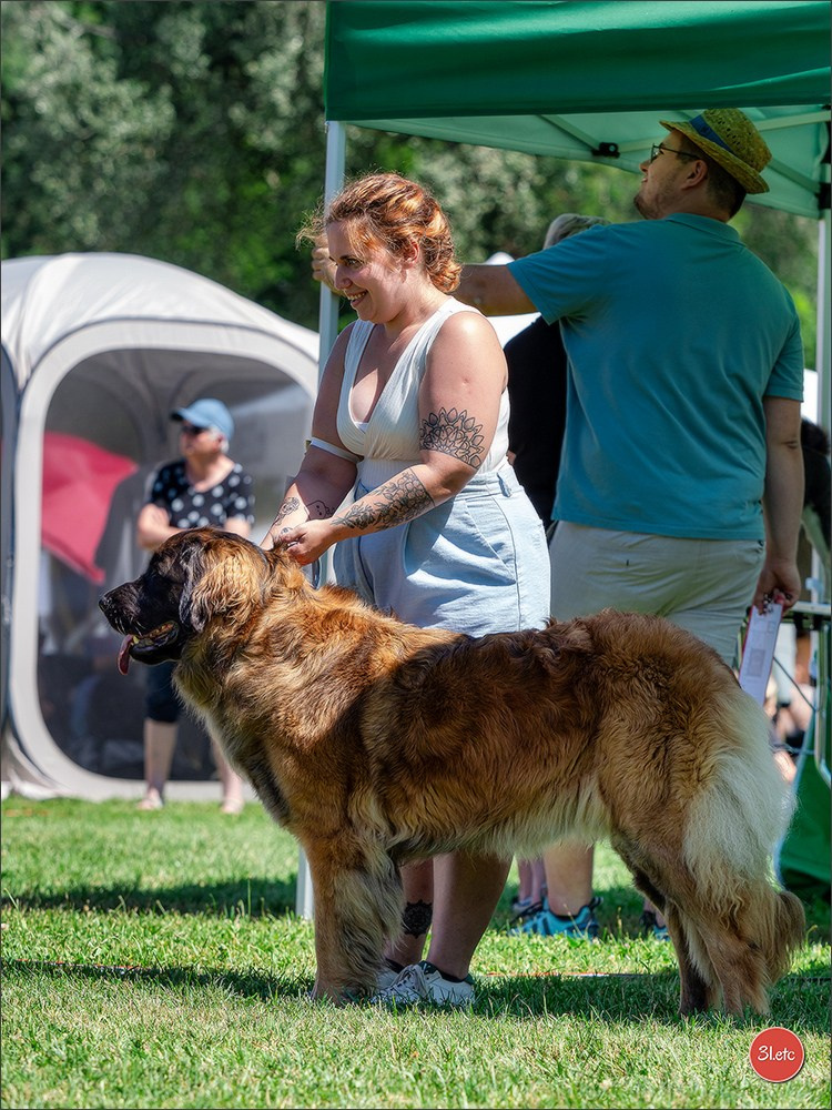 🇨🇭 Geneva Dog Show 15-17/11/2024. Photographe à Strasbourg | Portraits, Studio, Enfants, Événements