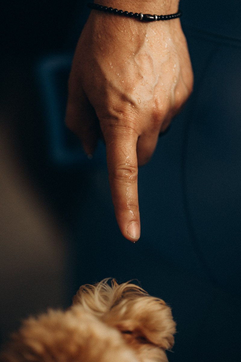 Iris Home Birth 2. Fotografa de família e crianças em Florianópolis SC Daria Ermolaev