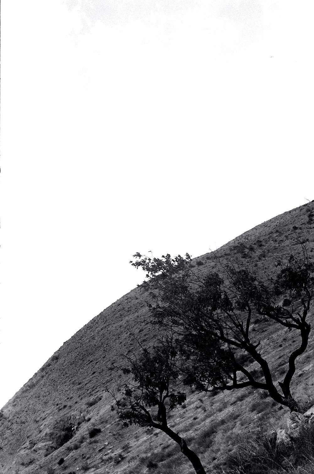 Personal Photography. Arman Milani, Brand-Focused Video Production & Content Creation, Based in Berlin