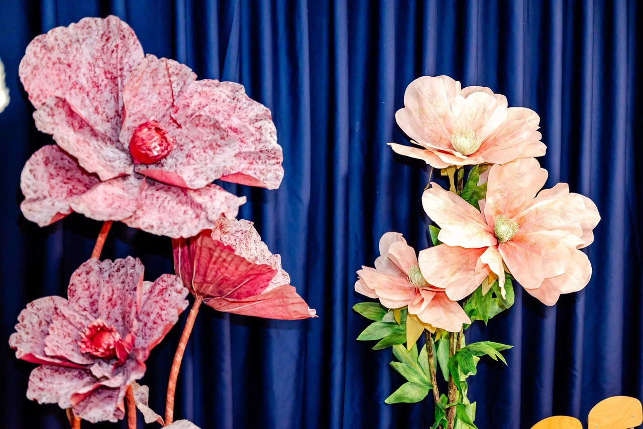 Fotograf profesionist Constanta. Bianca Bechisi - Fotograf profesionist Constanta