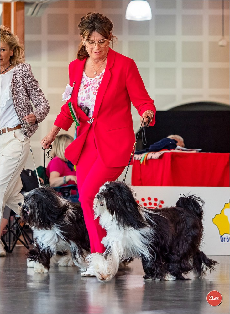 Expo canine 🇫🇷 Valence 03-04/05/2025. Photographe à Strasbourg | Portraits, Studio, Enfants, Événements