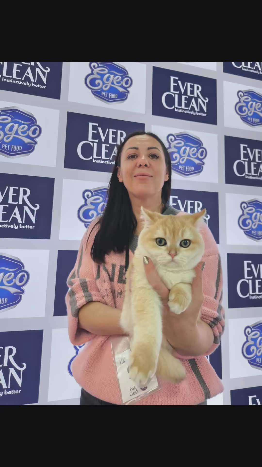 Athens 30/11-1/12/2024. British shorthair Cyprus, british shorthair cattery in UK, british cat