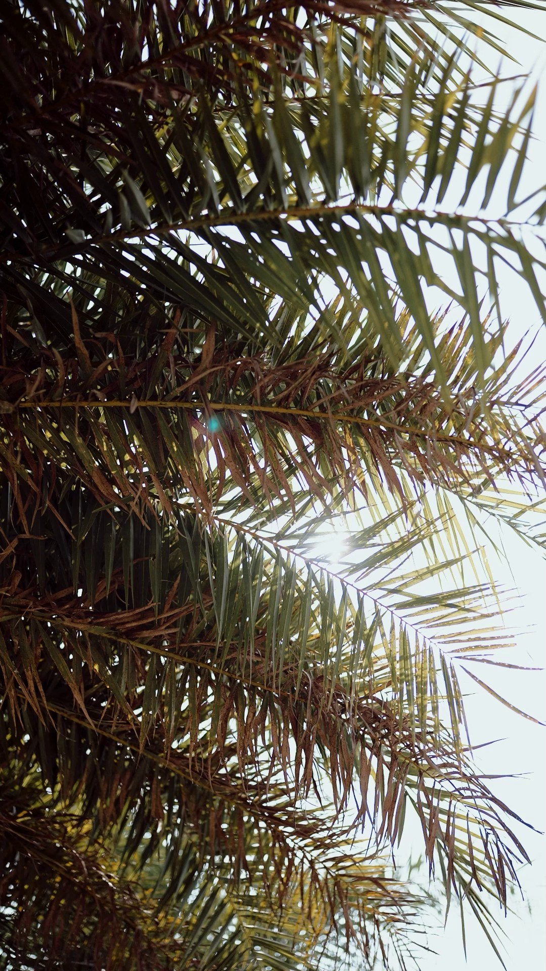 Video Gallery. Poudel Digital Photography