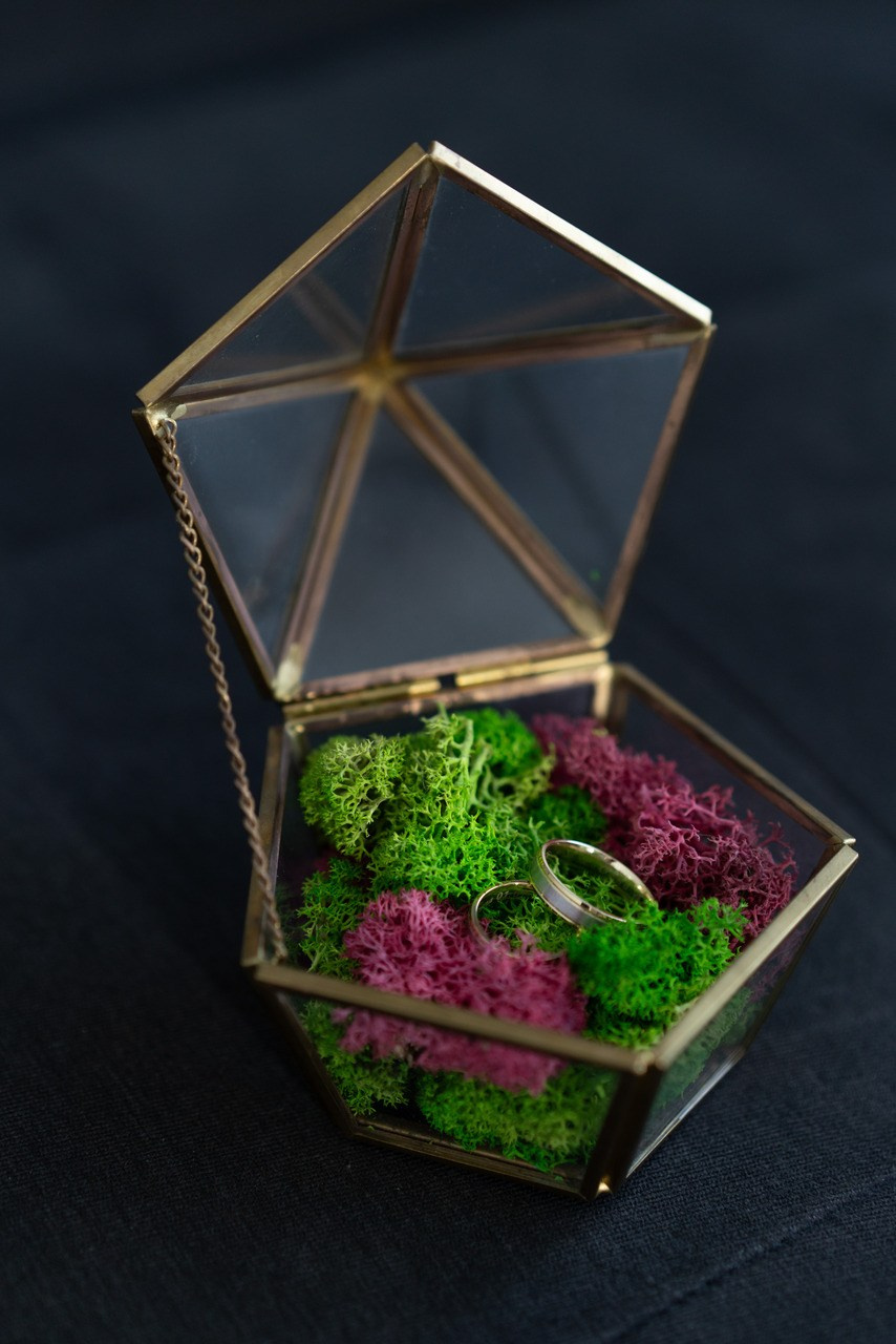 Fotografii nunta — Oana si Mihai. Fotograf Alin Stefan