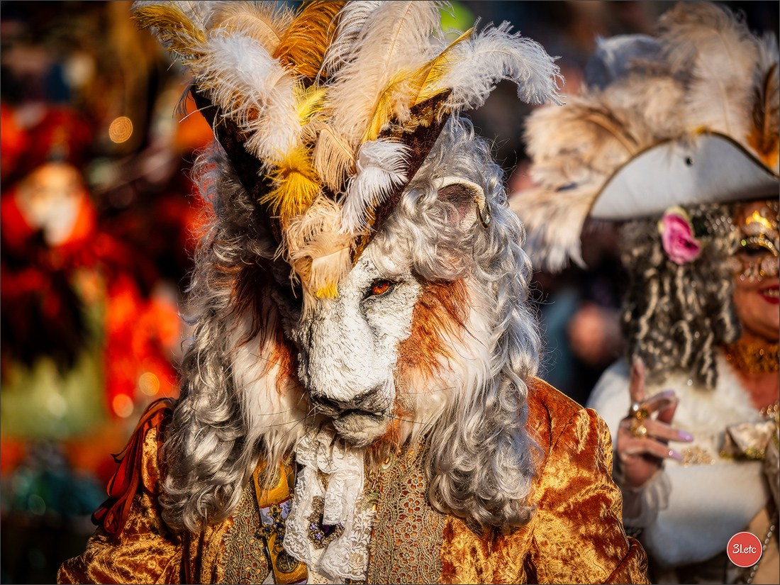 Carnaval vénitien de Rosheim 2026. Photographe à Strasbourg | Portraits, Studio, Enfants, Événements