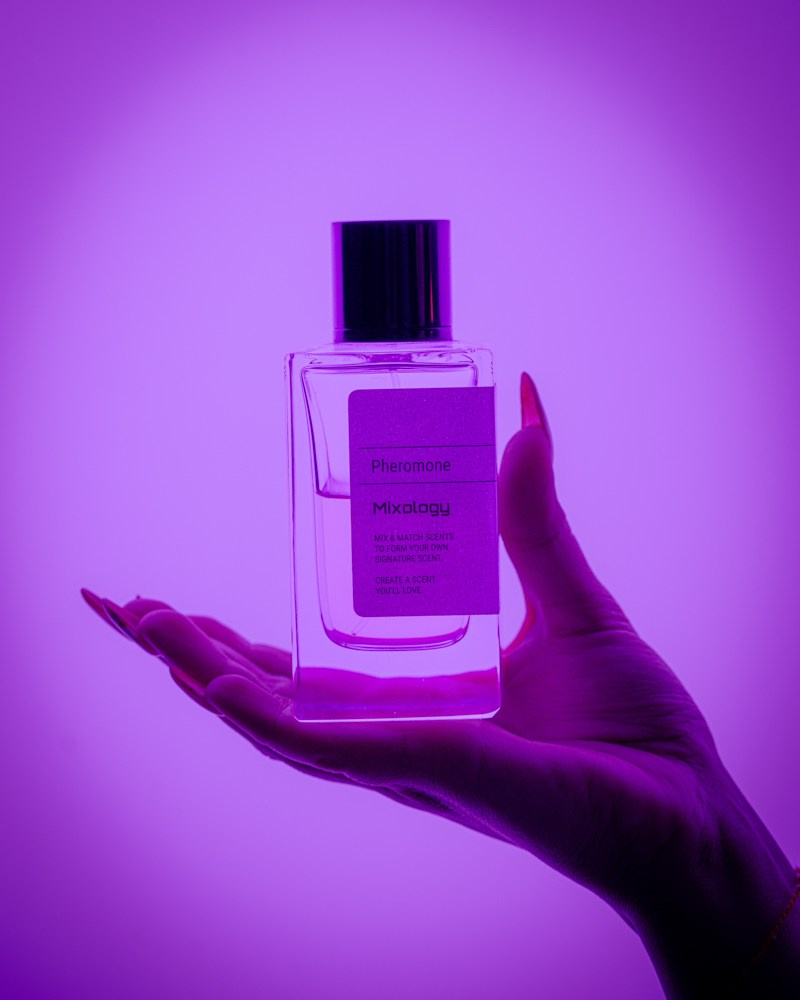 Restoran menyusu üçün yüksək keyfiyyətli yemək çəkilişi – food fotoqraf Suleymanli Suleyman