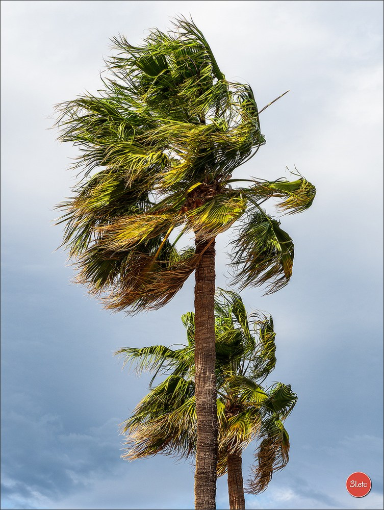 Martigues 19-20/04/2025. Photographe à Strasbourg | Portraits, Studio, Enfants, Événements