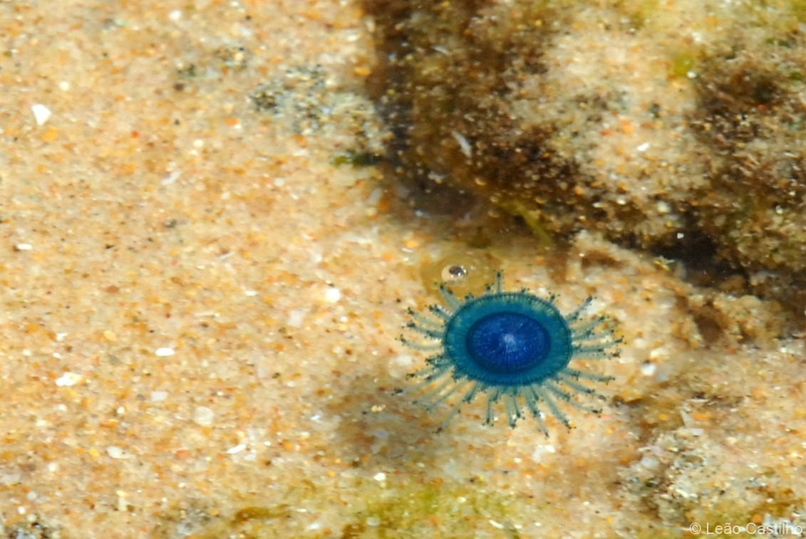 Photos from Mozambique. Simbahalu