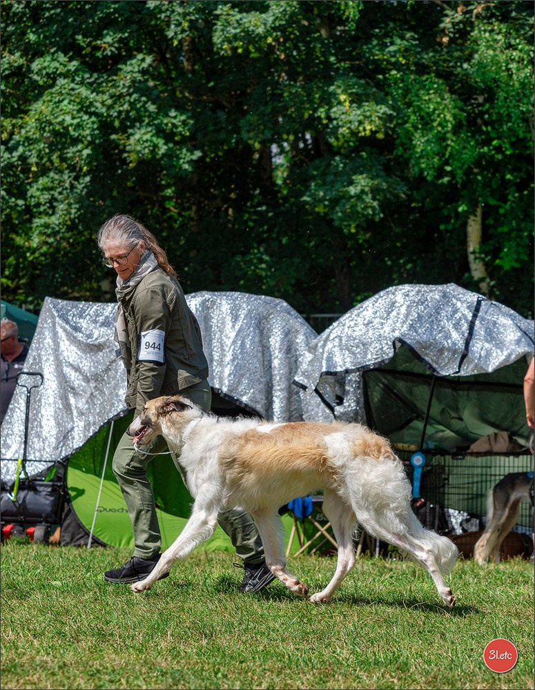Dog Show Hallbergmoos  🇩🇪  11-13/07/2025. Photographe à Strasbourg | Portraits, Studio, Enfants, Événements