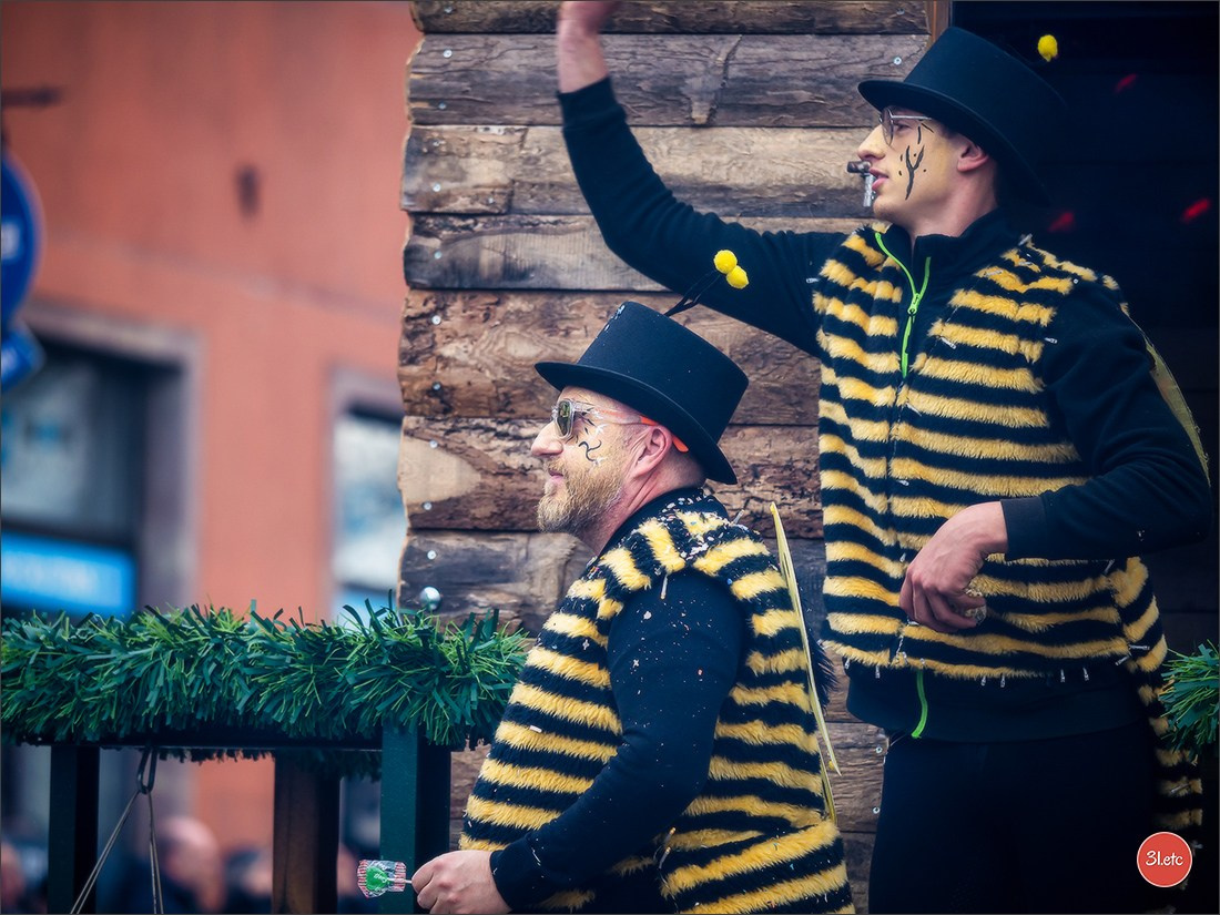 Traditional February carnival. Music, dancing, costume performances. C. Photographe à Strasbourg | Portraits, Studio, Enfants, Événements