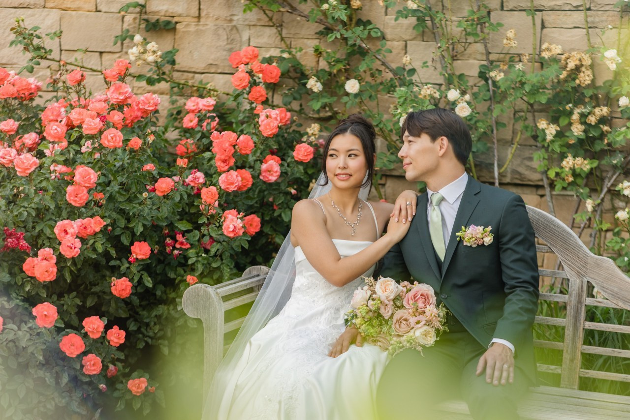 Testimonials. Wedding photographer Utah. Weddings, Families, Portraits