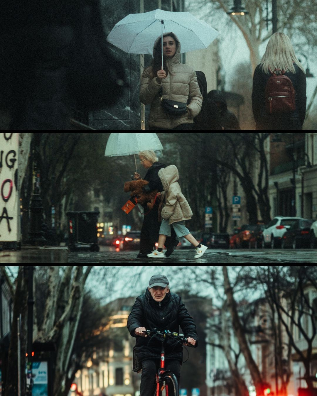 T B I L I S I 2025. Bspander