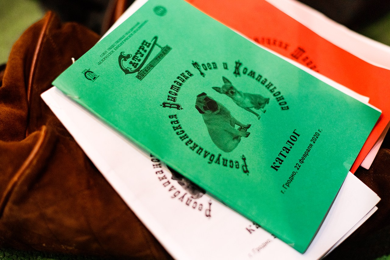 Grodno dog show. Kaja | fotograf we Wrocławiu | ludzie i psy