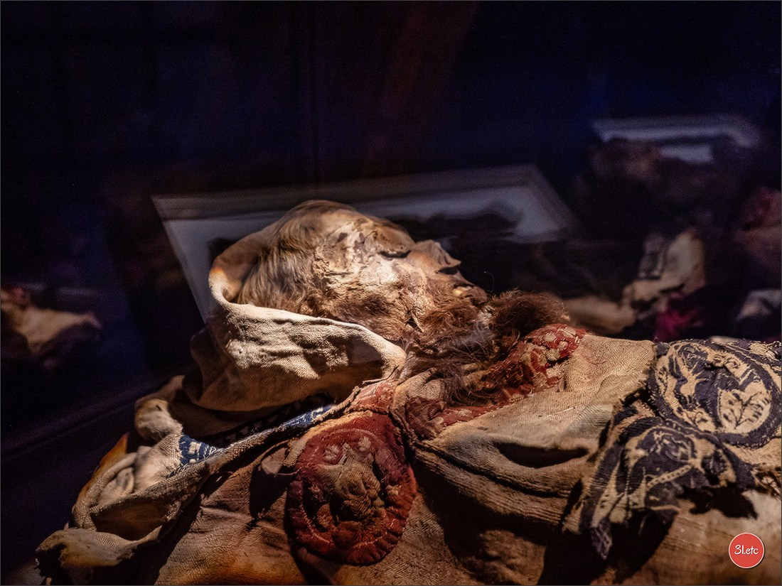 Chateauroux 🇫🇷. Photographe à Strasbourg | Portraits, Studio, Enfants, Événements