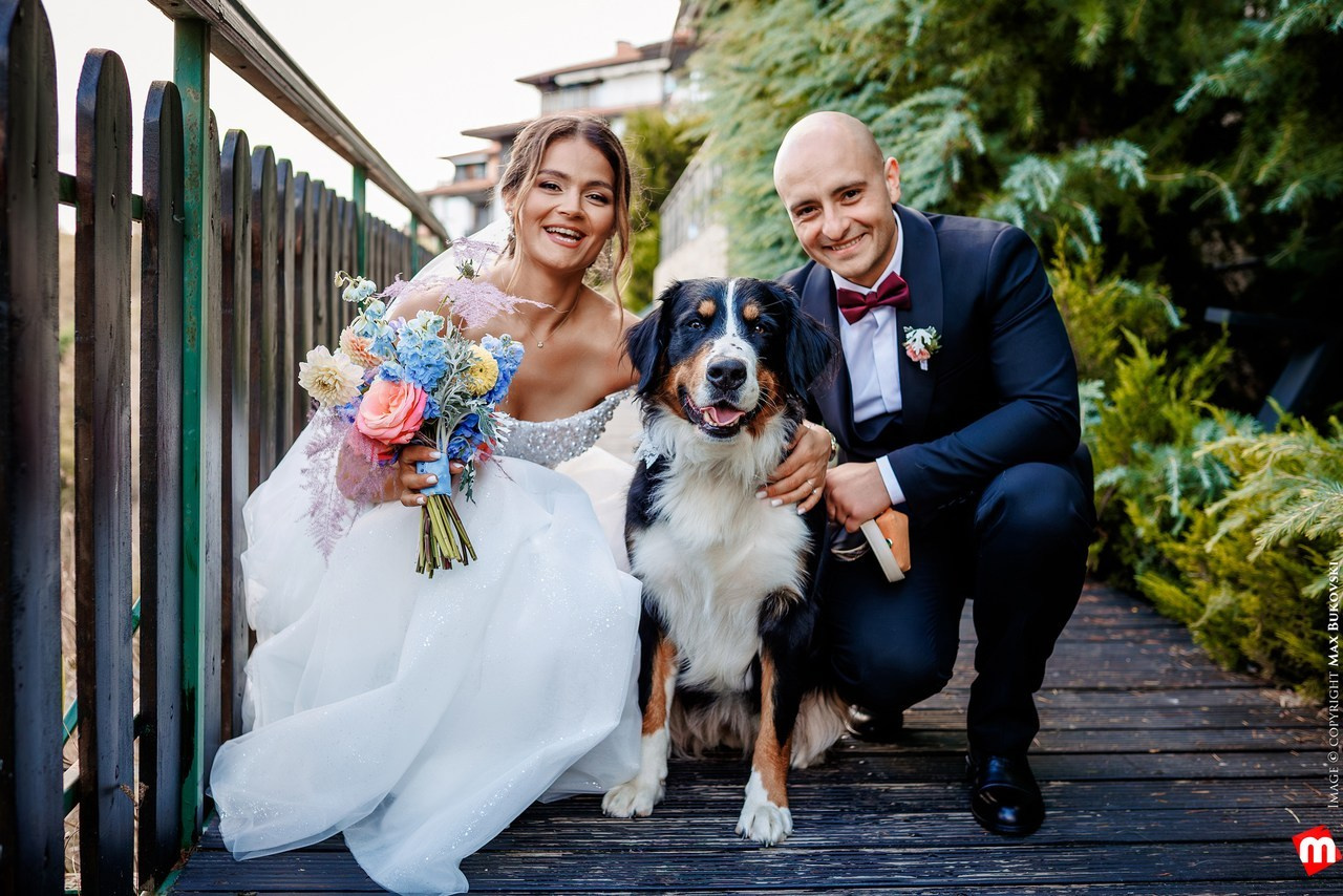 Ревюта. Начало