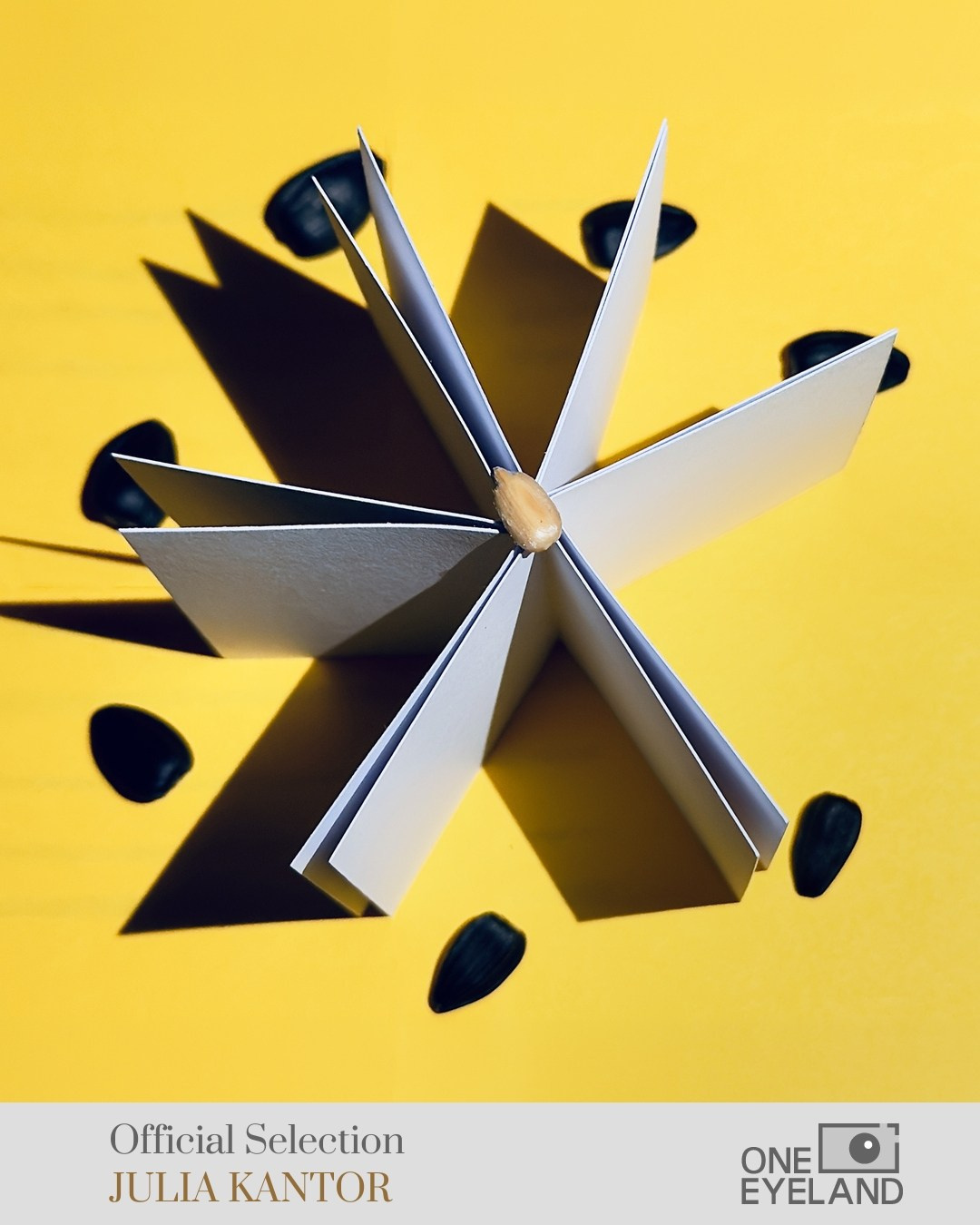ONE EYELAND. Julia Kantor | Architecture & Abstract Photographer
