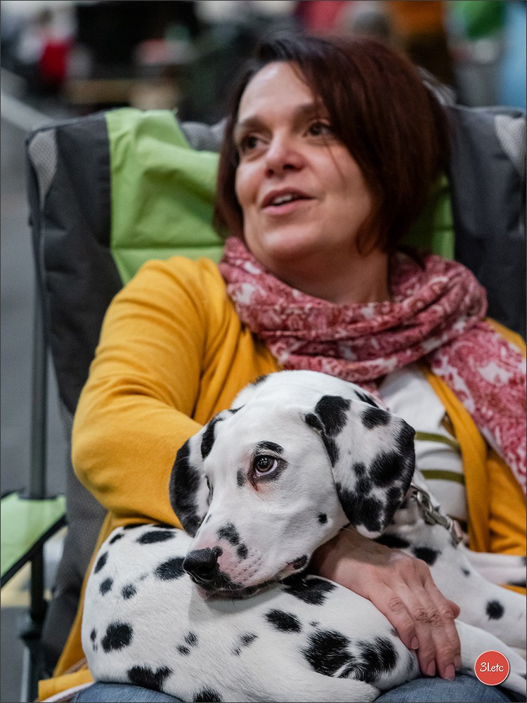 Exposition Canine à Rouen 7-8/12/2024. Photographe à Strasbourg | Portraits, Studio, Enfants, Événements