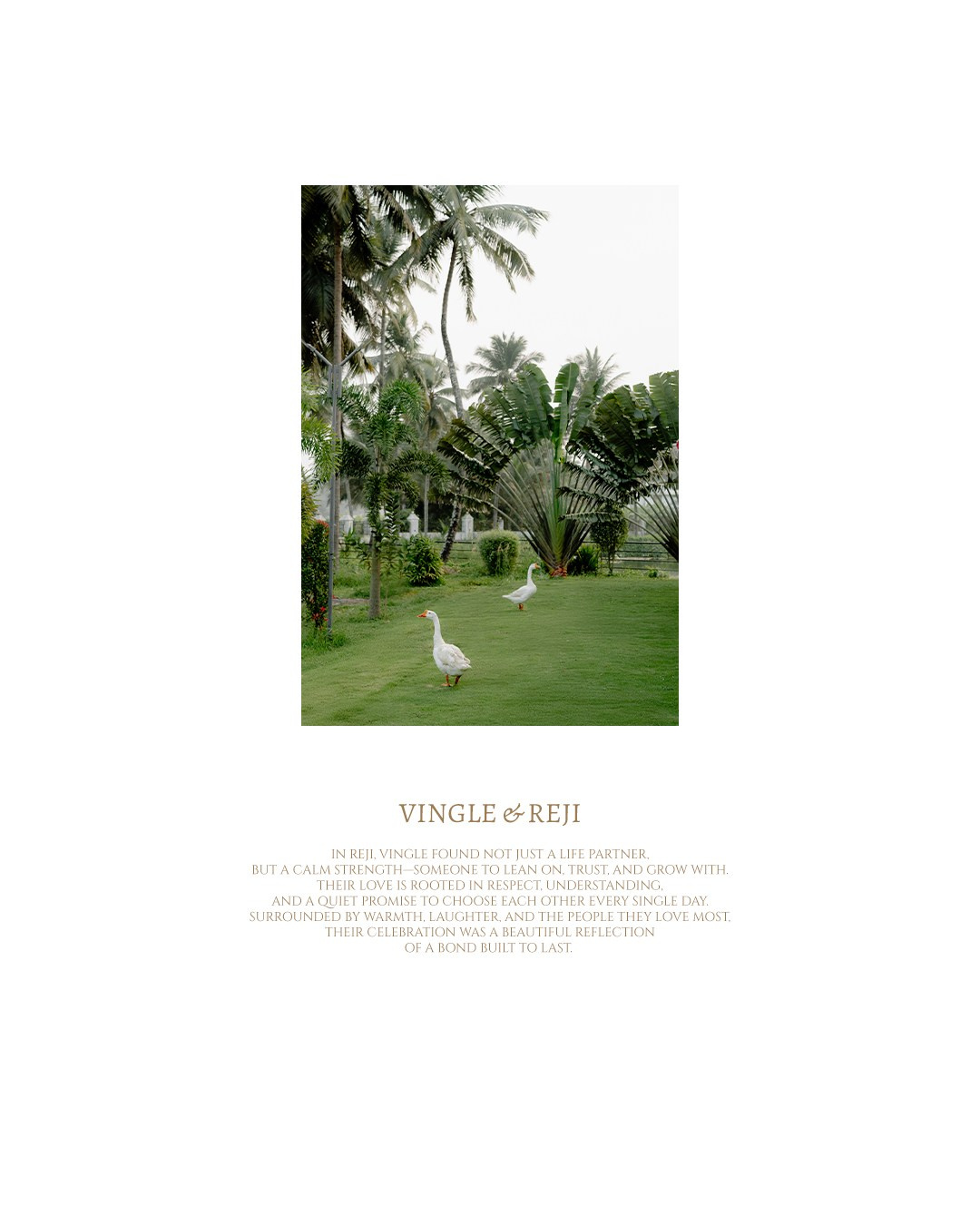 Merino. WEDDING PHOTO EDITOR muhammedakbar